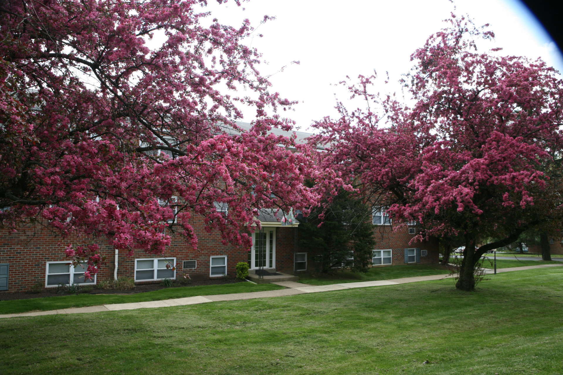 Rosedale Court Spring Exterior image