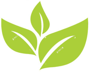 Logo of a green tea leaf