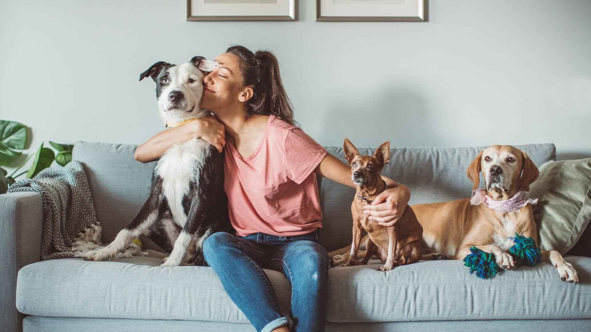 Woman smiling on the couch embracing her 3 dogs