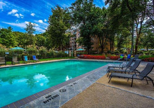 Outdoor pool with lounge chairs and umbrellas at The Park at Westminster apartments for rent
