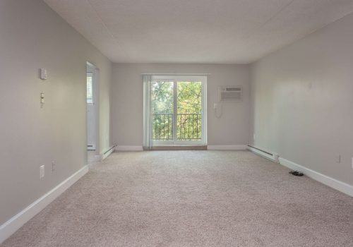 living room with carpeting